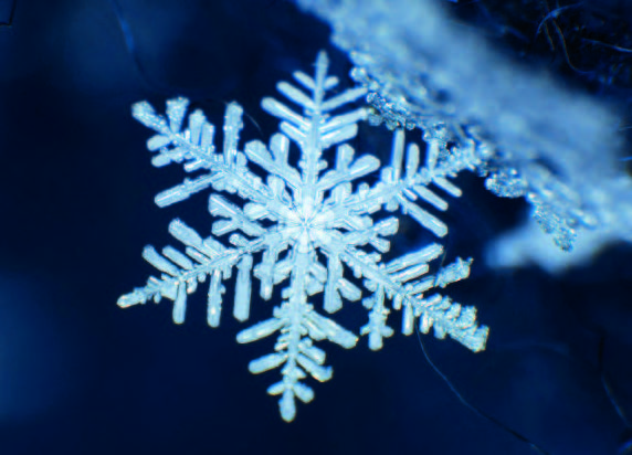 Matematiğin Bir Başka Yüzü Doğa